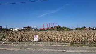 Terreno de 1493 m² em Aveiro