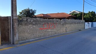 Land for sale in Ílhavo, Portugal — €70,000