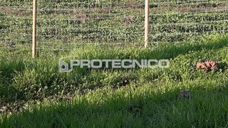 Terreno de 1003 m² em Aveiro