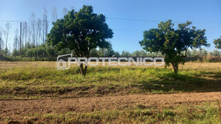 Land for sale in Albergaria-a-Velha, Portugal — €27,500