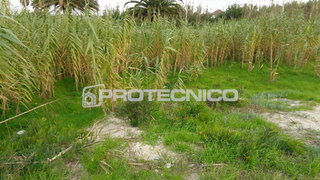 Land for sale in Vagos, Portugal — €400,000