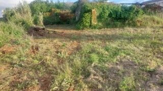 Land for sale in Ansião, Portugal — €28,500