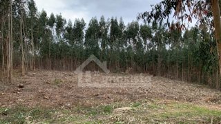 Land for sale in Figueiró dos Vinhos, Portugal — €16,500