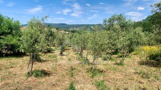 Land for sale in Ansião, Portugal — €26,000