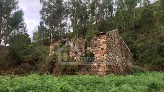 Land for sale in Figueiró dos Vinhos, Portugal — €100,000