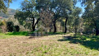 Land for sale in Castanheira de Pêra, Portugal — €34,000