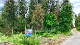Land for sale in Figueiró dos Vinhos, Portugal — €82,000