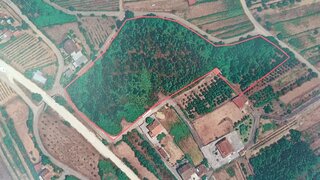 Land for sale in Mortágua, Portugal — €109,000