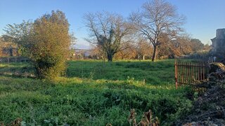 Land for sale in Santa Comba Dão, Portugal