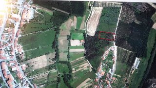 Land for sale in Mortágua, Portugal