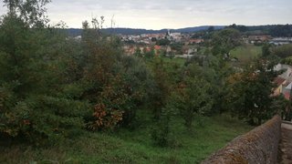 Land for sale in Mortágua, Portugal — €39,500