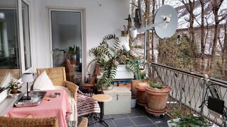 casafari-bild