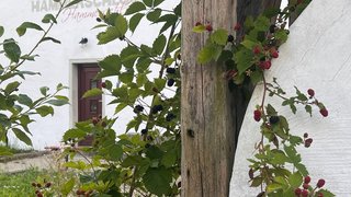 casafari-bild