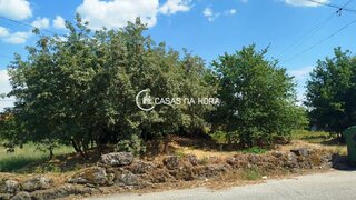 Terreno de 1925 m² em Viseu