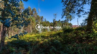 Land for sale in Santa Maria da Feira, Portugal — €75,000