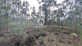 Land for sale in Póvoa de Varzim, Portugal — €80,000