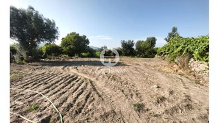 Land for sale in Barcelos, Portugal — €59,000
