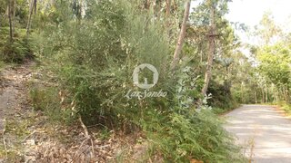 Land for sale in Celorico de Basto, Portugal — €43,000
