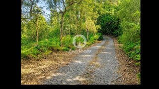 Land for sale in Barcelos, Portugal — €49,000