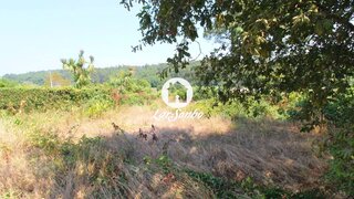 Land for sale in Barcelos, Portugal — €88,000