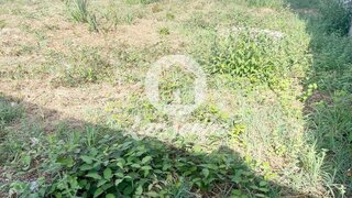 Land for sale in Trofa, Portugal — €68,000