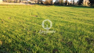 Land for sale in Vila do Conde, Portugal — €50,000