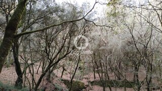 Land for sale in Terras de Bouro, Portugal — €20,000