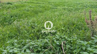 Land for sale in Vila do Conde, Portugal — €250,000
