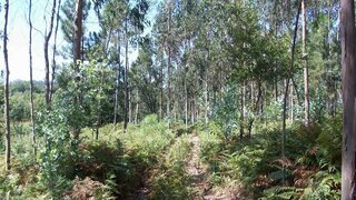 Land for sale in Vila do Conde, Portugal — €250,000