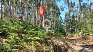 Terreno em Vila Nova de Famalicão