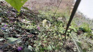 Land for sale in Póvoa de Varzim, Portugal — €83,000