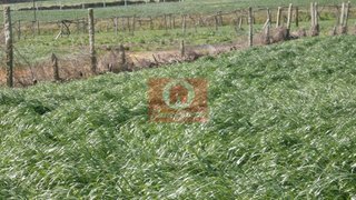 Land for sale in Póvoa de Varzim, Portugal — €31,000