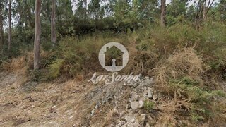 Terreno em Santo Tirso