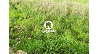 Terreno para venda em Barcelos, Portugal — 60 000 €