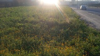 Land for sale in Vila do Conde, Portugal — €200,000