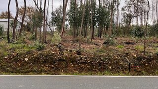 Land for sale in Águeda, Portugal — €48,000