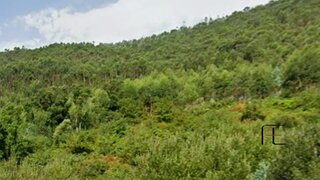 Land for sale in Vale de Cambra, Portugal — €50,000