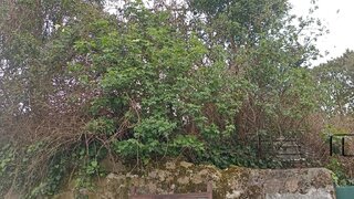 Land for sale in Vila Nova de Gaia, Portugal — €295,000