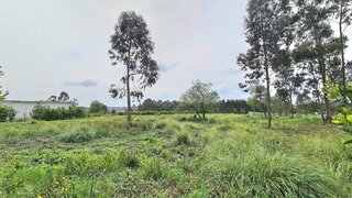 Land for sale in Santa Maria da Feira, Portugal — €209,000