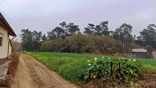 Land for sale in Ovar, Portugal — €80,000