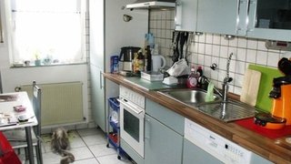 casafari-bild