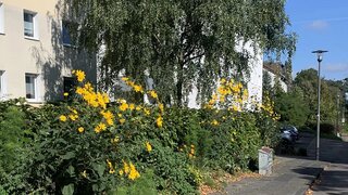 casafari-bild
