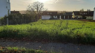 Alttag