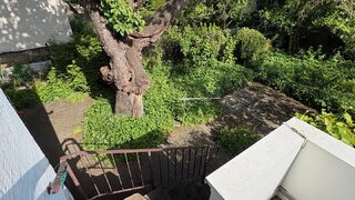 casafari-bild