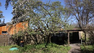 casafari-bild