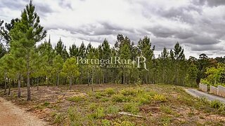 Land for sale in Proença-a-Nova, Portugal — €14,750