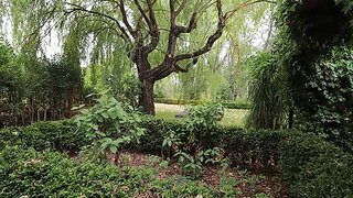 Land for sale in Tomar, Portugal — €70,000