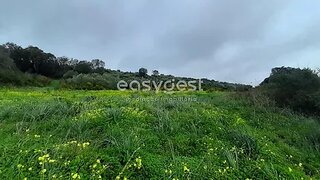 Land for sale in Sintra, Portugal — €87,500