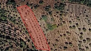 Terreno · 4800 m² · 50 000 €