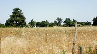 Land for sale in Salvaterra de Magos, Portugal — €297,000